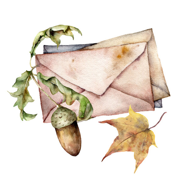 水彩秋装信封，橡子和树叶。手绘乡村卡孤立在白色背景。花卉插图设计，印刷，织物或背景。图片下载