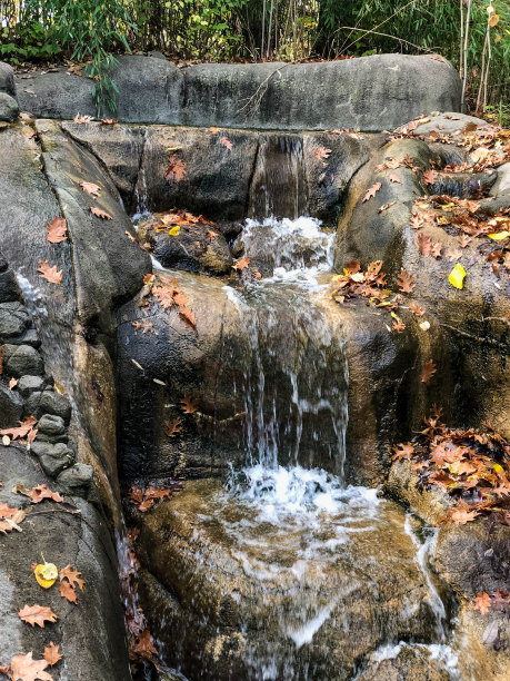 水随着落叶从岩石上流下图片下载