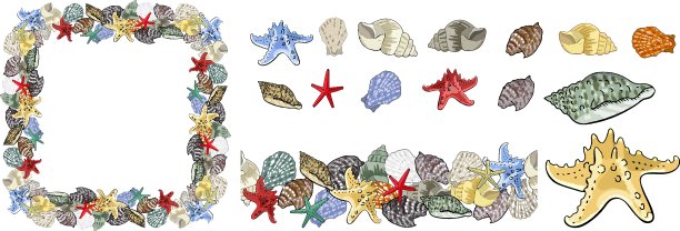贝壳元素的集合。不同的框架和无缝边缘隔离在白色背景为您的设计。图片下载