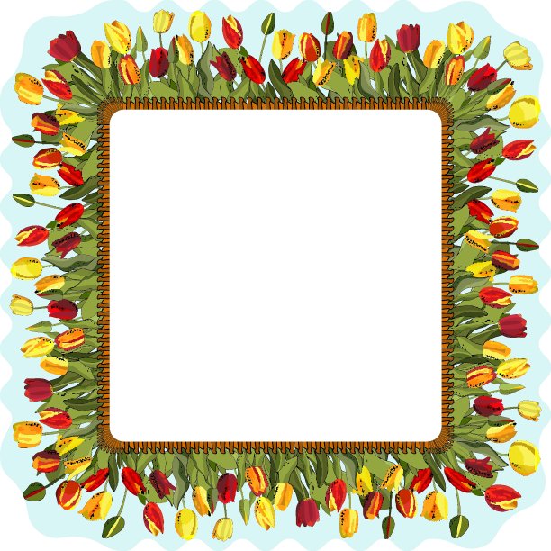 花圈与郁金香孤立在白色。圆形框架设计的请柬，卡片，礼品盒。图片下载