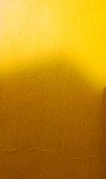 黄色的图片下载