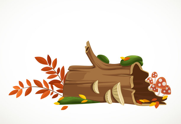 长满苔藓和鹅膏的空原木图片下载