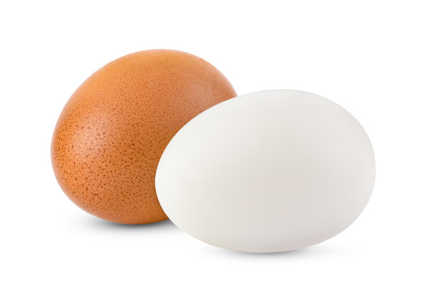 煮鸡蛋孤立在白色背景图片下载