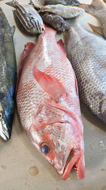 印尼传统市场里大量的瓦里安鱼图片下载