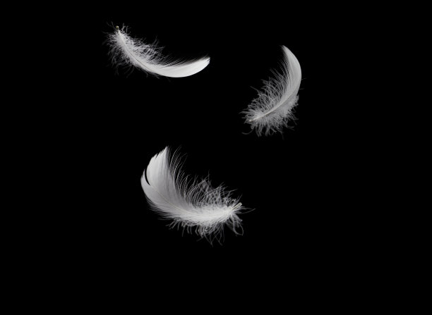 轻柔的绒毛，白色的羽毛在黑暗中落下。黑色的地面。抽象的,羽毛的自由。图片下载