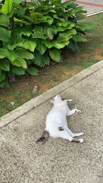 伸展我的身体图片下载