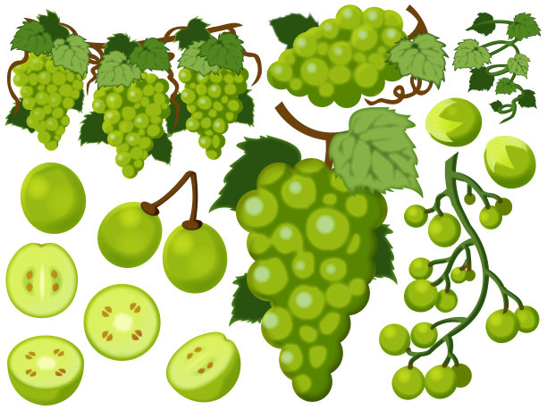 各种果香图片下载