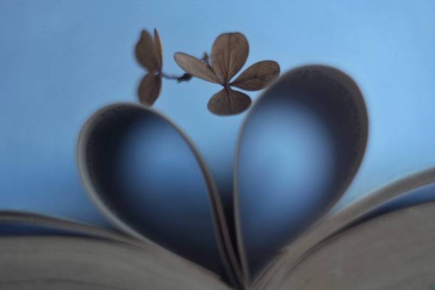 书。宏。页以心的形式图片下载