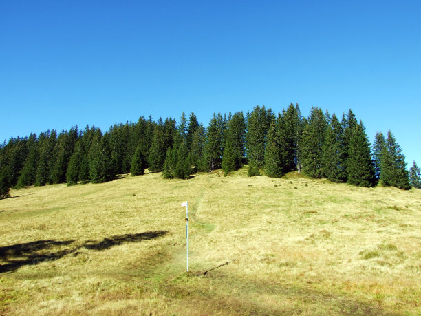 秋季高山牧场和草地在Churfirsten山脉和Toggenburg地区，斯塔肯巴赫-广东圣加仑，瑞士图片下载
