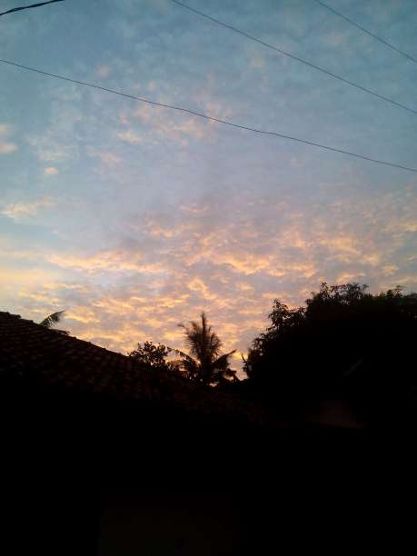 早上视图图片下载