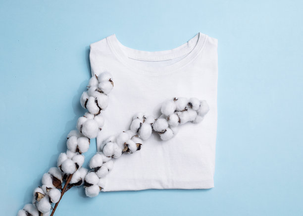 白色t恤和树枝上的棉花和干花在蓝色的背景，自然面料的概念，特写照片图片下载