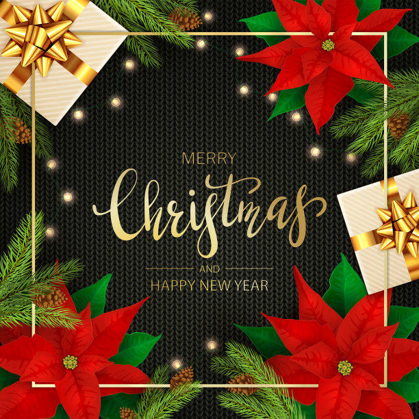 一品红和圣诞灯和礼物在黑色针织背景图片下载
