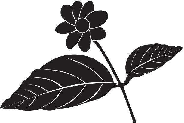 百合花为绘图标志符号图片下载