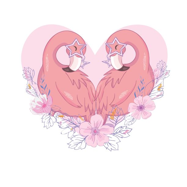 可爱的火烈鸟，手绘矢量插图。图片下载