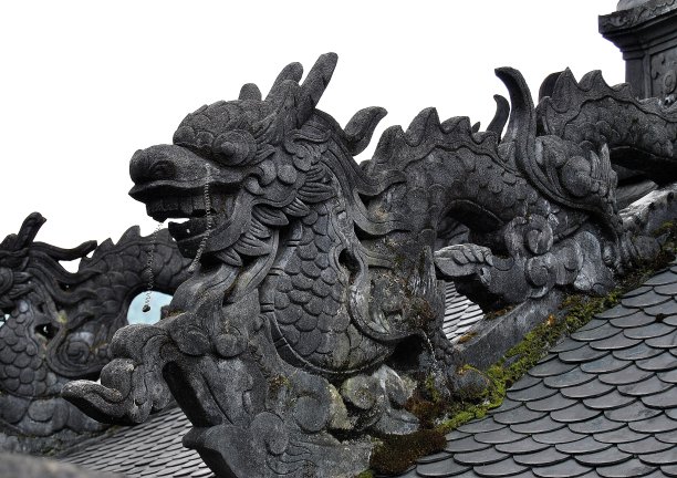 石头龙图片下载