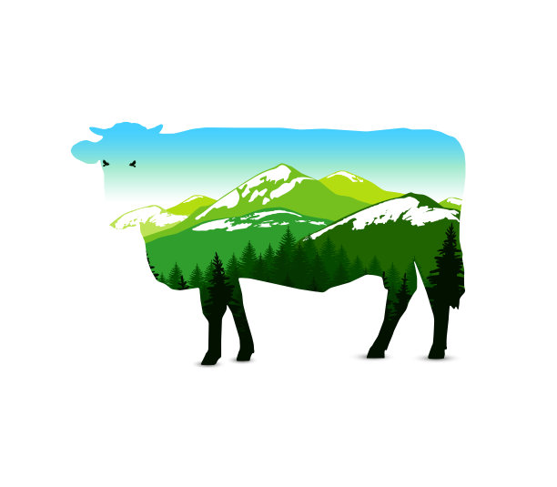 轮廓的牛图片下载