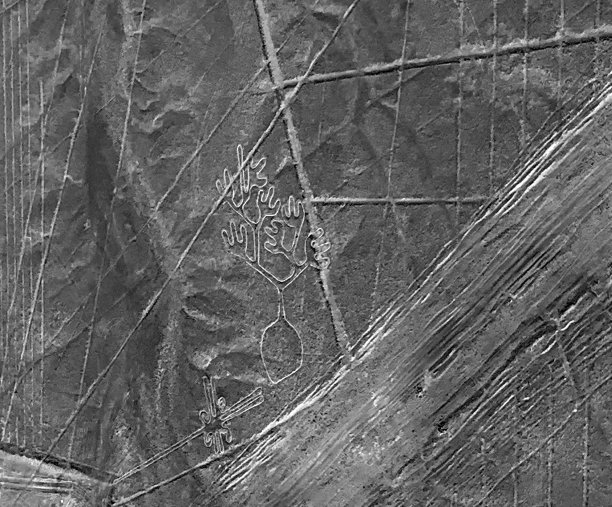 纳斯卡线地理图案植物地理图案十字架在纳斯卡山谷秘鲁，鸟瞰图。图片下载