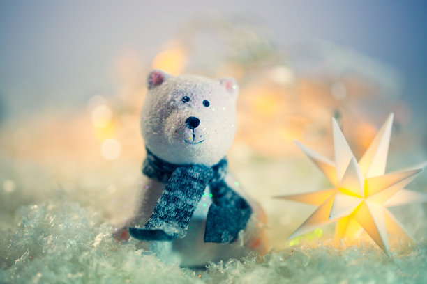 圣诞节，北极熊在雪地里带着星星，圣诞卡图片下载
