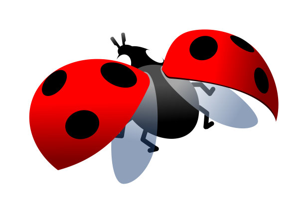 单只简单的红色瓢虫，有张开的斑点翅膀，鲜艳的颜色的象征，作为标志，图标或象征图片下载