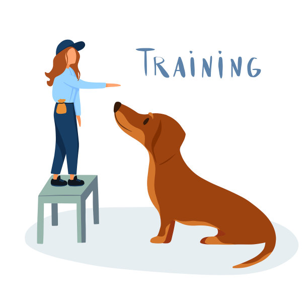 平面向量插图。女人，专业的宠物教练教导，和训练家狗命令坐在宠物中心或学校，犬科俱乐部的教训。设计海报，横幅，传单，网页。图片下载