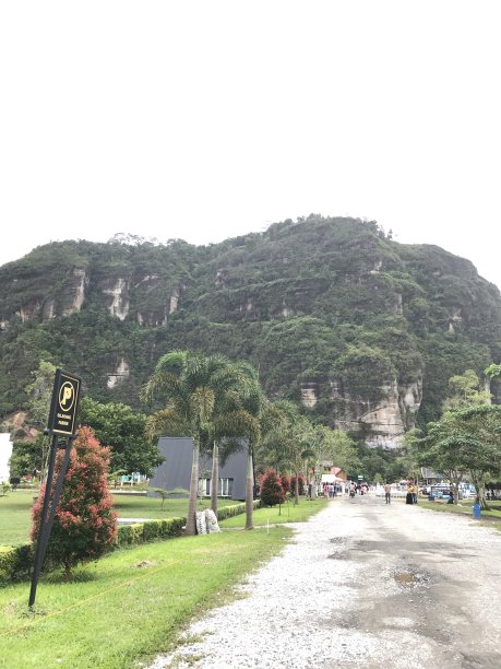 自然和食品图片下载