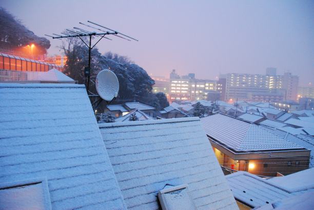 黎明时分的雪图片下载