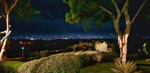 公园夜景图片下载