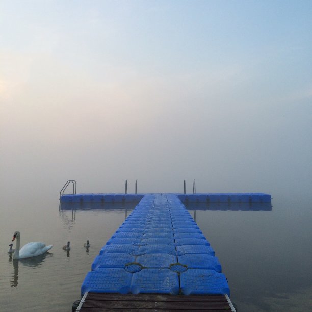 令人惊讶的早晨图片下载