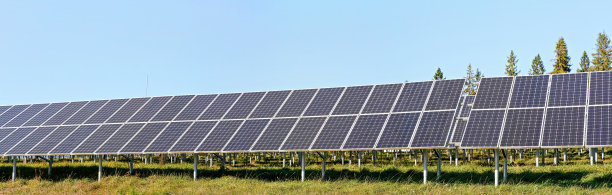 太阳能光伏板上绿色的草地，晴朗的天空上面的树木背景，宽幅的横幅照片图片下载