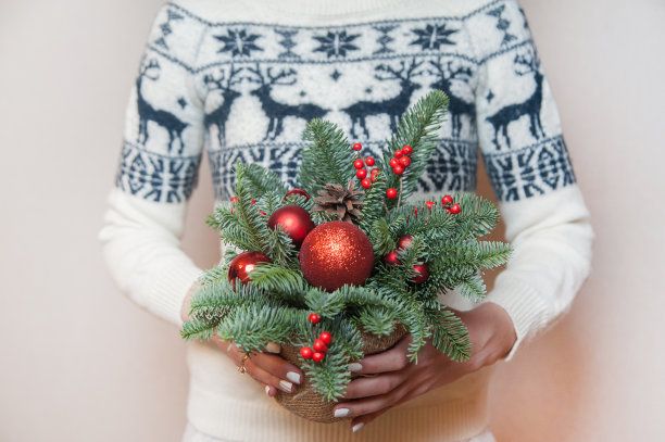 一个穿着圣诞毛衣的女孩，手里拿着一个漂亮的圣诞玩具和一个在锅里的圣诞树图片下载