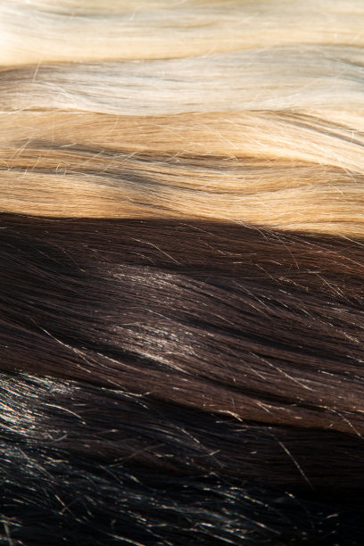 在美容院将女性自然发束封装和延展。图片下载