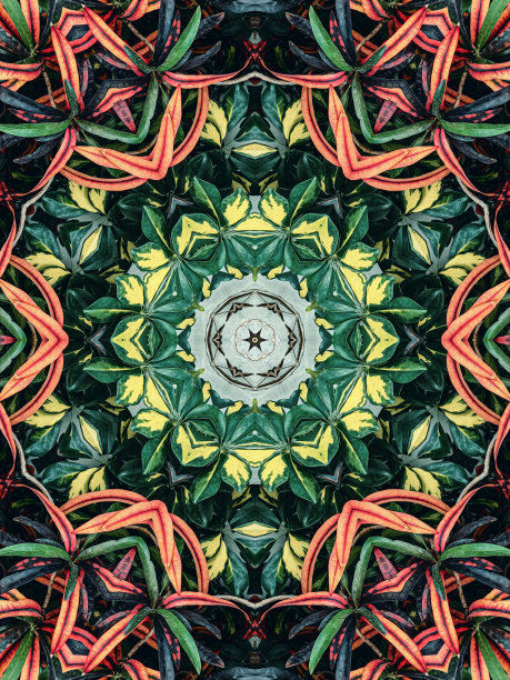 万花筒油画的叶子背景图片下载