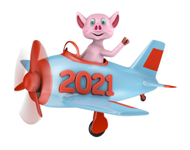 2021年飞机上的小猪图片下载