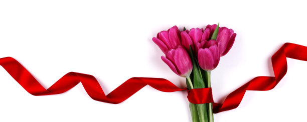 白色的郁金香花和丝带图片下载