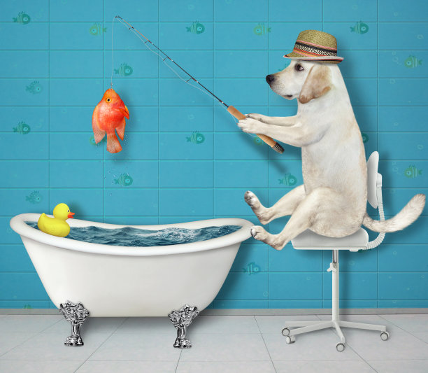 戴红帽子的狗在浴室钓鱼图片下载