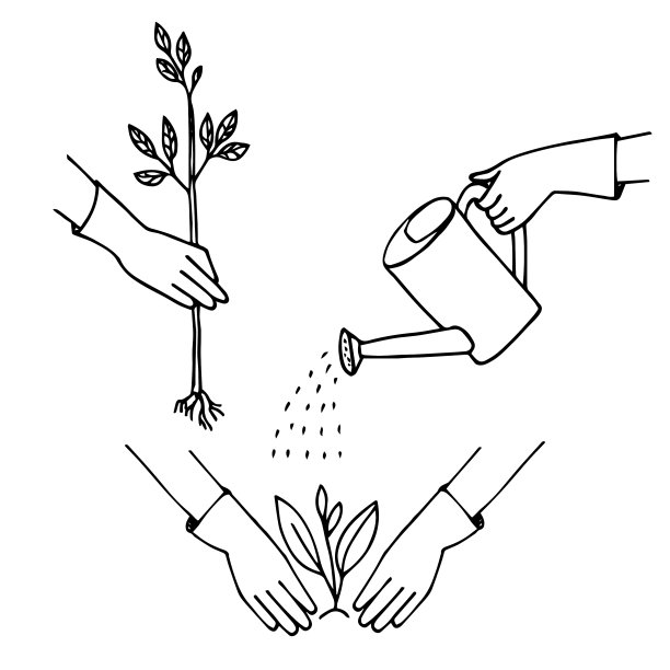 用喷壶浇灌幼苗图片下载