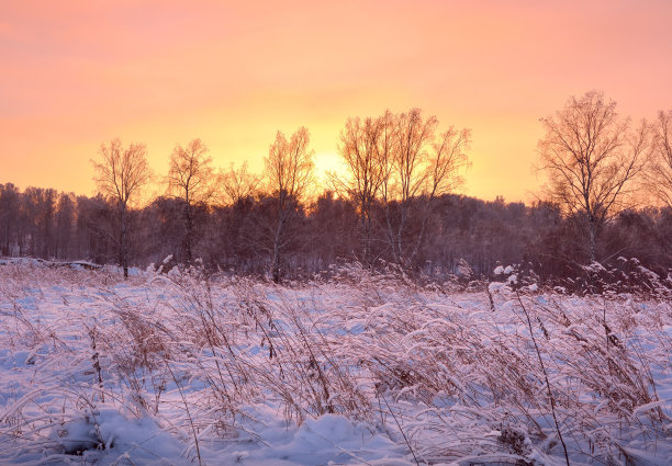 冬日田野上的黎明图片下载