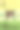女人从窗户伸出手，手里拿着家里的植物图片下载