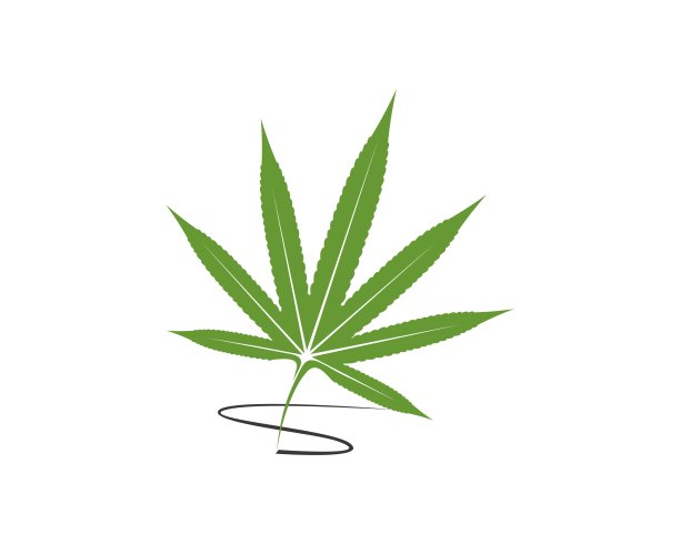 大麻叶用墨水书写图片下载