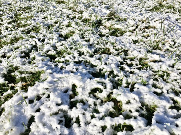 雪在草地上图片下载