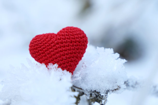 红色编织的心在冬天的雪森林里图片下载
