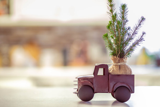 圣诞节拖图片下载