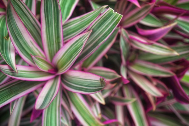 工厂背景图片下载