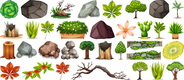 设置不同的自然隔离在白色上图片下载