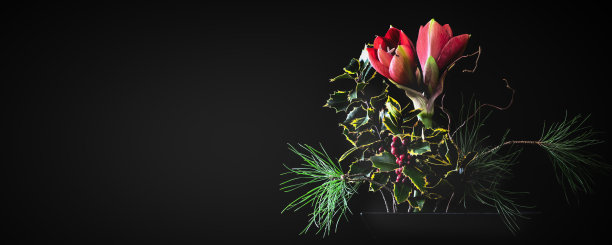 美丽的插花与孤挺花孤立在黑色背景图片下载