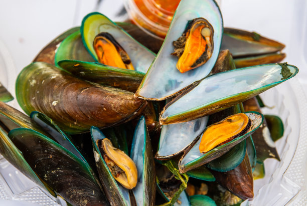 产自东南亚泰国的贻贝图片下载