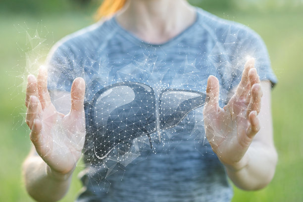 诊断和治疗肝脏替代方法的概念。图片下载