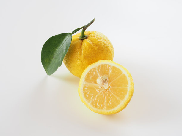 白色背景上的日本柚子图片下载