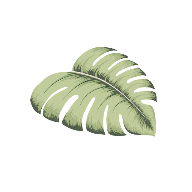 热带叶色复古风格图片下载