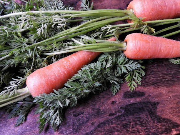 木桌上的蔬菜特写镜头图片下载